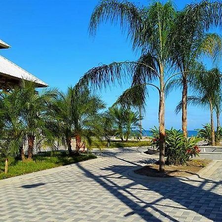Uw Oasis Hotel Ла-Сейба Экстерьер фото